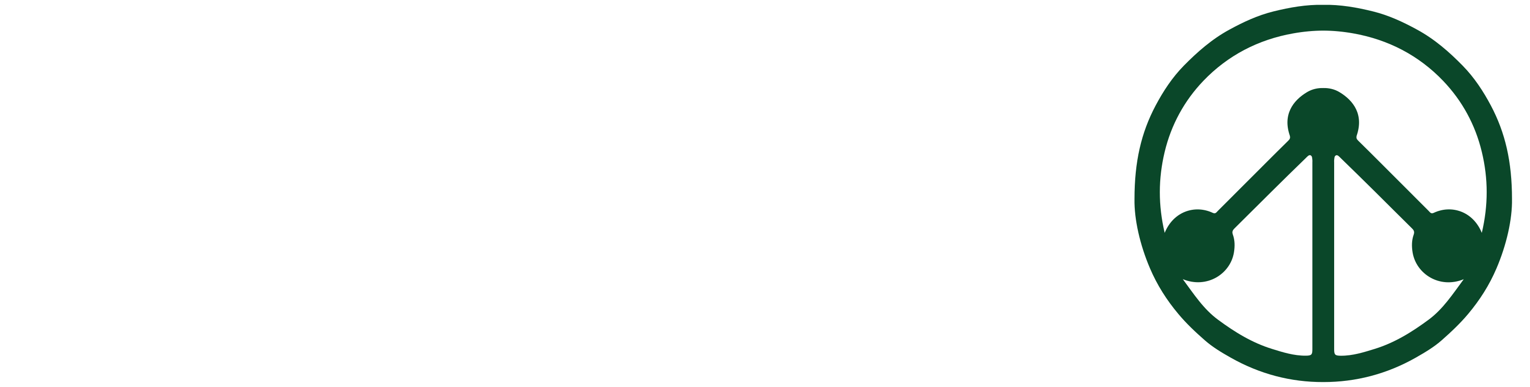 Footer Logo